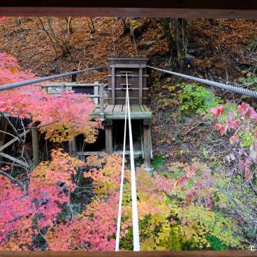 Iya Valley in Shikoku, Wild Monkey Bridge and momiji maple trees