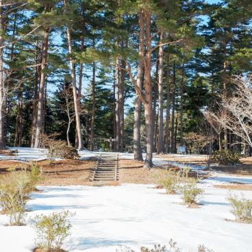 Kitayamazaki Cliffs (Tohoku), Steps on the walking trail in winter
