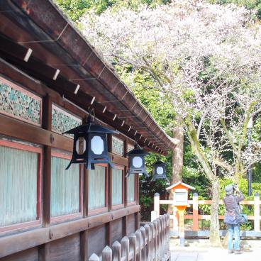 Chion-in temple in Kyoto, Gobyo-do Mausoleum before renovation