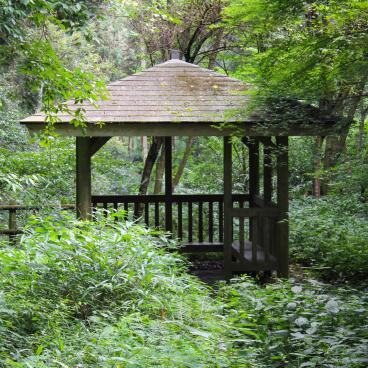 Chion-in temple in Kyoto, Shelter in the forest