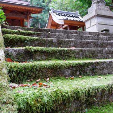 Okamoto-jinja Otaki-jinja shrine in Echizen 10