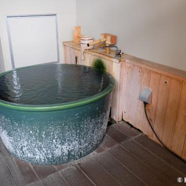 Ise Shinsen, Private outdoor onsen on the room's terrace