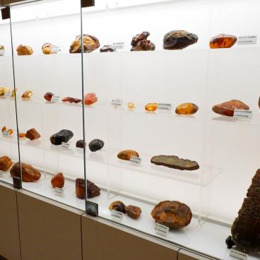 Kuji Amber Museum, Amber gemstone displays