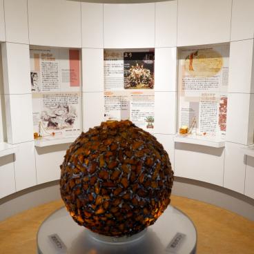 Kuji Amber Museum, Amber gemstone displays 2