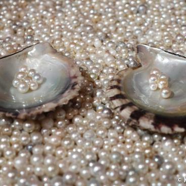 Mie prefecture, Exhibition at the Pearl Museum on Mikimoto Pearl Island in Toba