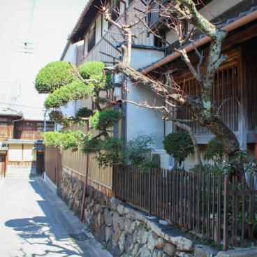 Naramachi District in Nara, Traditional house with a garden on the street