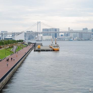 Rainbow Bridge (Tokyo), View on the bridge from Gururi Park in Toyosu