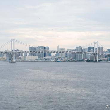 Rainbow Bridge (Tokyo), View on the bridge from Gururi Park in Toyosu 2
