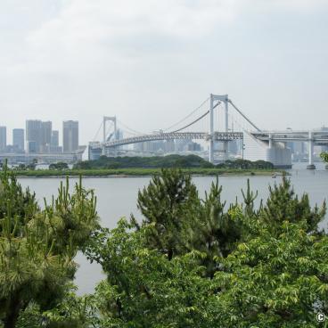 Rainbow Bridge (Tokyo), View on the bridge from Odaiba