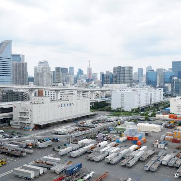 Rainbow Bridge (Tokyo), View on the capital's skyscrapers and industrial area from the bridge