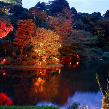 Chinzan-so Teien (Tokyo), Yasuichi pond at nightfall