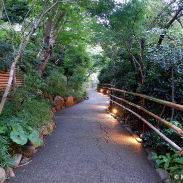 Chinzan-so Teien (Tokyo), Alley of the garden at nightfall 2