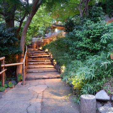 Chinzan-so Teien (Tokyo), Alley of the garden at nightfall