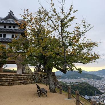 Awaji, Sumoto Castle