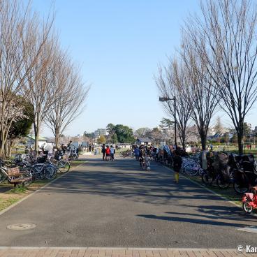 Zenpukuji-gawa (Tokyo), Bicycle parking in Wadabori Park