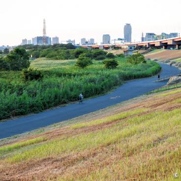 Arakawa Dote Banks (Tokyo), Cycling lane