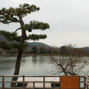 Daikaku-ji (Kyoto), View on Osawa pond from the Miedo