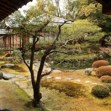 Daikaku-ji (Kyoto), View on the garden