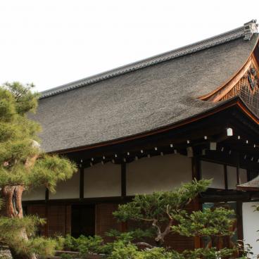 Daikaku-ji (Kyoto), Roof of the Shinden pavilion