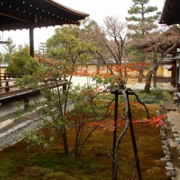 Daikaku-ji (Kyoto), View on the garden between the entrance and Shinden pavilion
