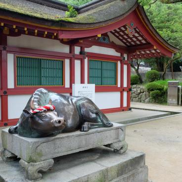 Dazaifu Tenman-gu, Statue of the Shingyu ox