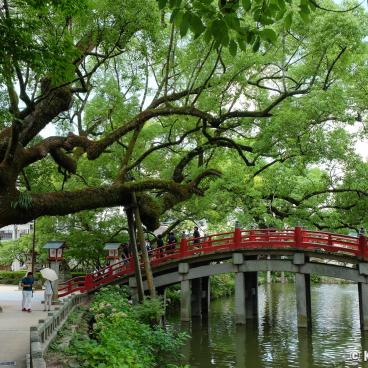 Dazaifu Tenman-gu, Taiko-bashi arch bridge at the entrance of the shrine grounds 2