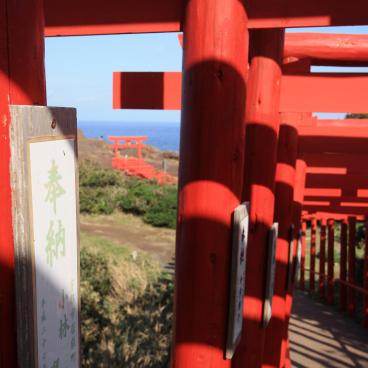 Motonosumi Inari Jinja (Chugoku), Torii gates tunnel 2