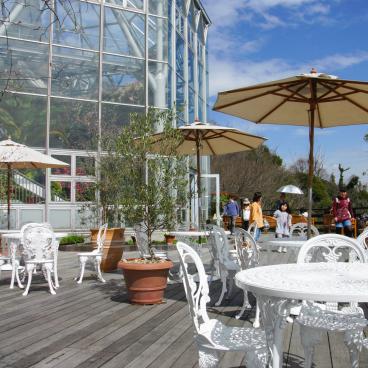 Nunobiki (Kobe), Herb Gardens' Greenhouse 3