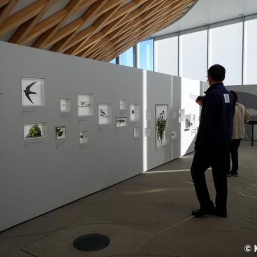Exhibition room at Mt. Fuji World Heritage Centre (Shizuoka)