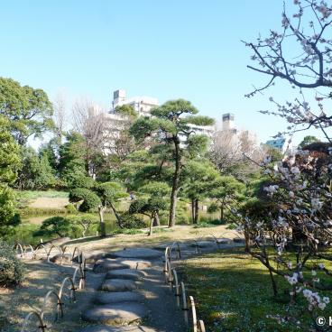 Kiyosumi Teien, Stroll alley in the garden