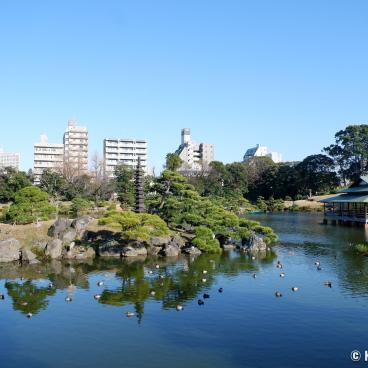 Kiyosumi Teien, Panorama on the Japanese garden in winter