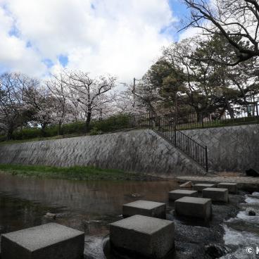 Shukugawa Park (Hyogo), Stone steps to cross the river
