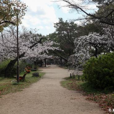 Shukugawa Park (Hyogo), Walking path along the river