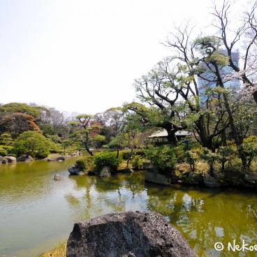 Keitaku-en (Osaka), View of the pond in the Japanese garden, the tea house and the plum trees in bloom