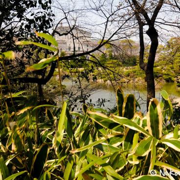 Keitaku-en (Osaka), Osaka City Museum of Fine Arts