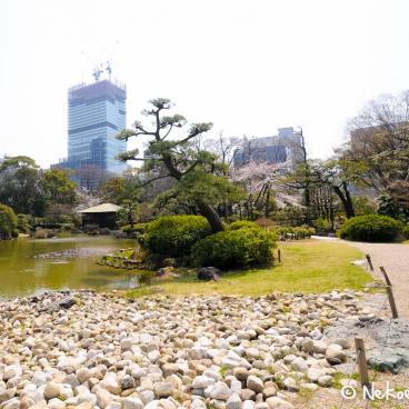 Keitaku-en (Osaka), View on the pond of the Japanese garden and Abeno Harukas Tower under construction