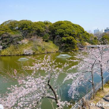 Keitaku-en (Osaka), Plum trees in bloom and Cha-usu-yama hill