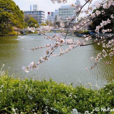 Keitaku-en (Osaka), Wake Bridge connecting Cha-usu-yama hill to Tennoji Park