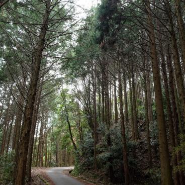 Settsukyo Park (Osaka), Hiking path 2
