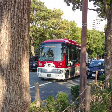Hachiko Bus in Shibuya ward, in Tokyo 3