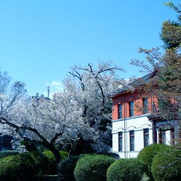 Koishikawa Botanical Gardens (Tokyo), Japanese garden and view on the University Museum's annex