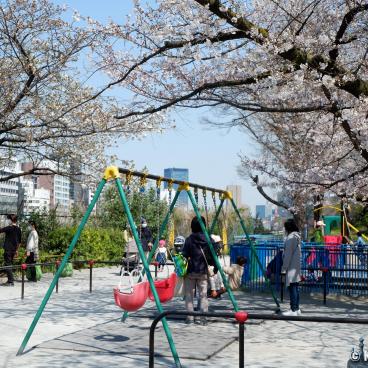 Sotobori Park (Tokyo), Children's playground under the blooming cherry trees