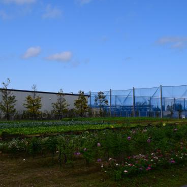 Niigata Agri Park, Cultivated areas