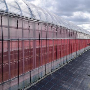 Niigata Agri Park, Visit of a greenhouse