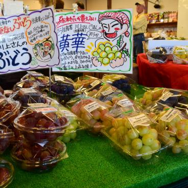 Niigata Agri Park, Various grapes to buy at the cooperative shop