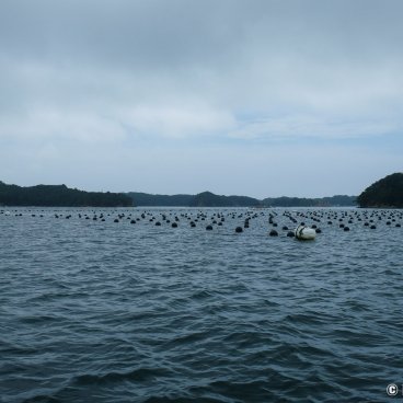 Mie prefecture, Boat ride and fishing session with an Ama diver off to Wagu port (Shima) 2