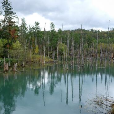 Biei (Hokkaido), The blue water of Lake Aoi-ike 4