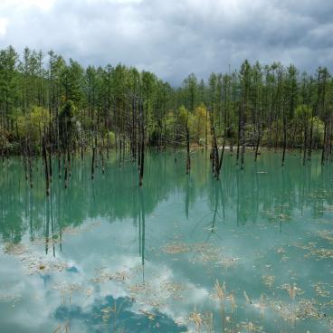 Biei (Hokkaido), The blue water of Lake Aoi-ike 