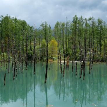 Biei (Hokkaido), The blue water of Lake Aoi-ike 5