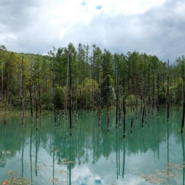 Biei (Hokkaido), The blue water of Lake Aoi-ike 6